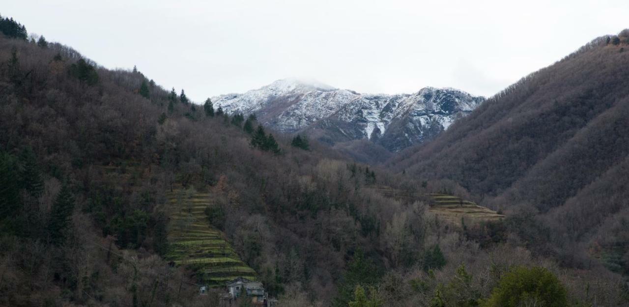 Casa Della Posta Apartment Borzonasca ภายนอก รูปภาพ